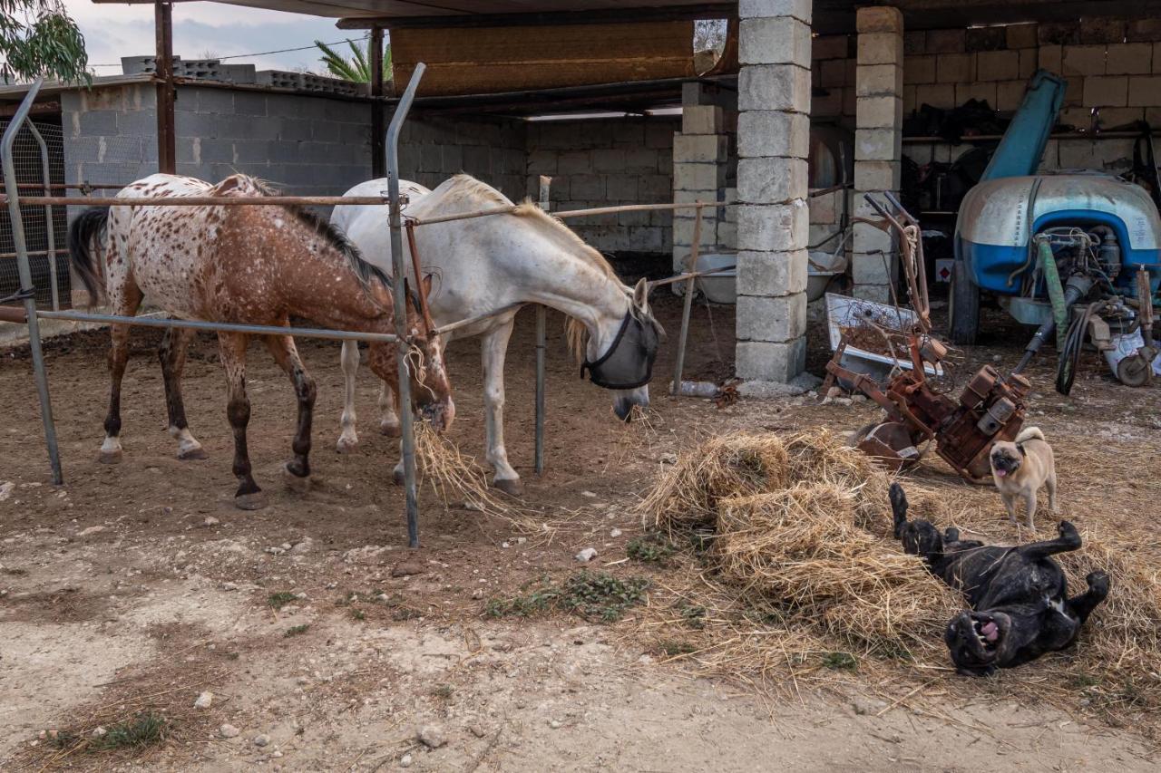 Masseria Cinti Bagnolo del Salento Kültér fotó